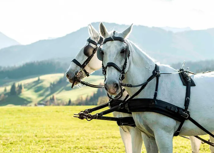 Hotel Posthotel And - Adults Only