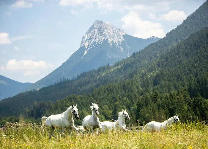 Posthotel And - Adults Only Achenkirch