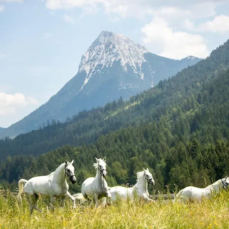 Posthotel And - Adults Only Achenkirch