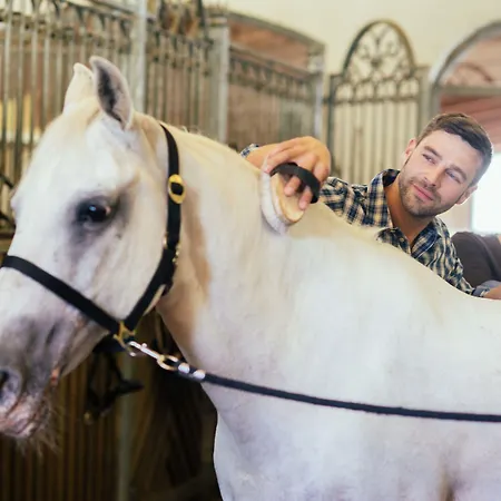 Hotel Posthotel And - Adults Only