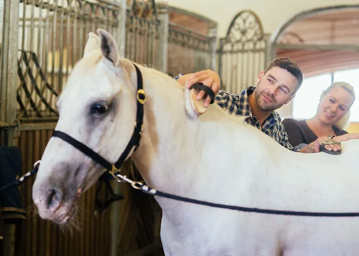 Hotel Posthotel And - Adults Only